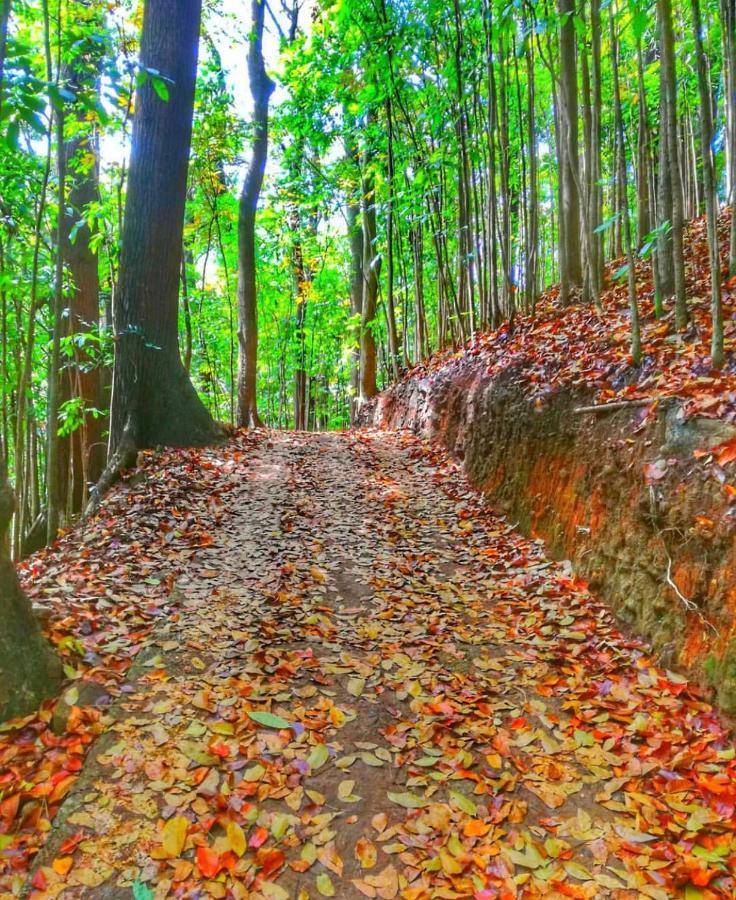 Boo Kirinda Holiday Resort บาดุลลา ภายนอก รูปภาพ
